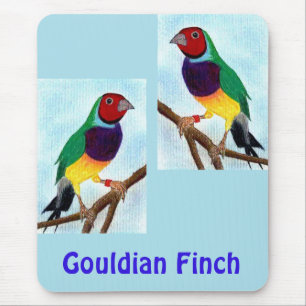 Mousepad ~ Gouldian Finch ~ Arte Original ~ Pad do Mouse
