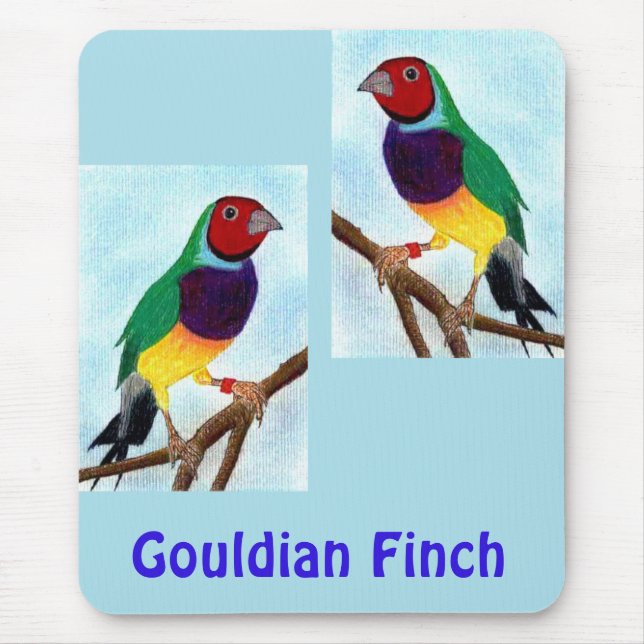 Mousepad ~ Gouldian Finch ~ Arte Original ~ Pad do Mouse (Frente)