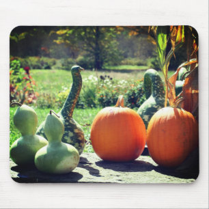 Mousepad Gours Gigantes E Natureza De Pumpkins
