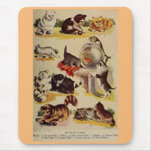 Mousepad Gráfico de raça gatinha de gatos-do-campo