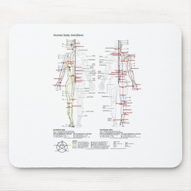 Mousepad Gráfico esquemático Corpo Humano Chinês Meridians (Frente)