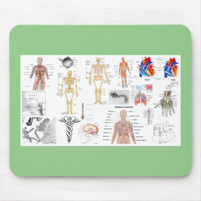 Mousepad Gráficos Médicos da Anatomia Humana (Frente)