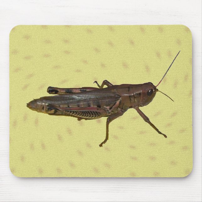 Mousepad Grafopper (Frente)