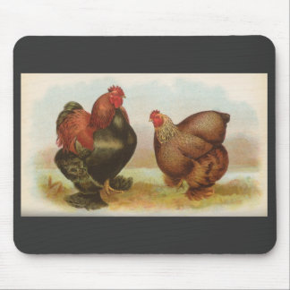 Mousepad Graham - Frangos de Cochin Partridge