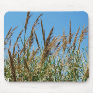 Mousepad Grama de lingüeta em um lago