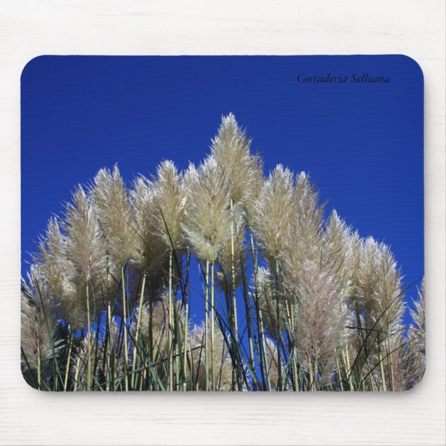 Mousepad Grama de Pampas Mousmat (Frente)