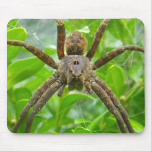 Mousepad Grande Aranha Marrom