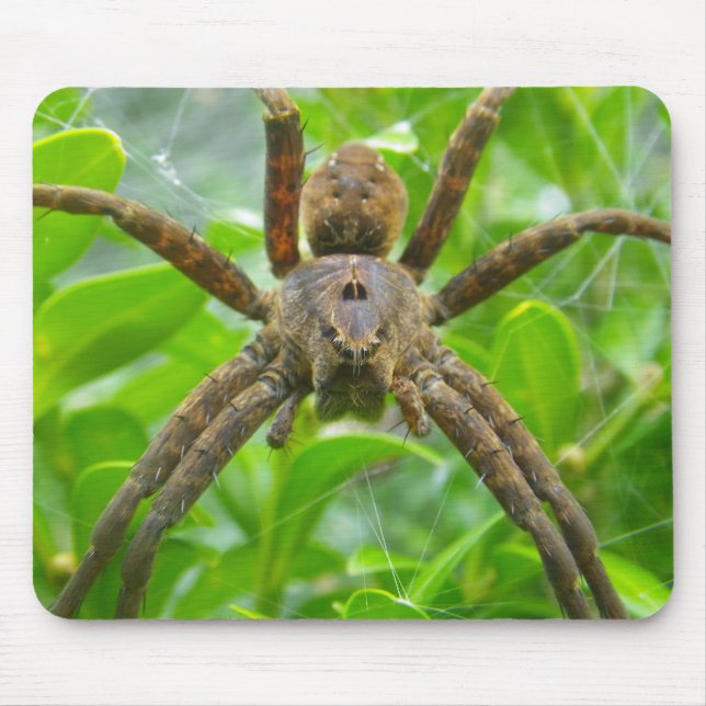 Mousepad Grande Aranha Marrom (Frente)