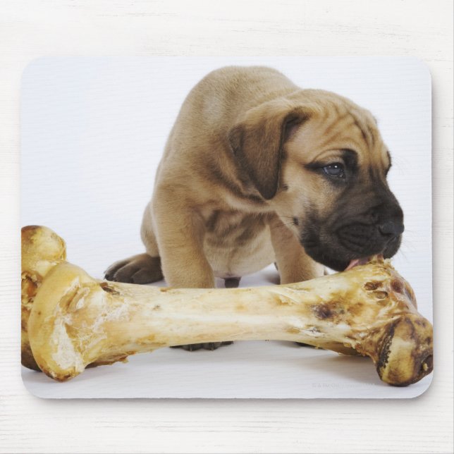 Mousepad Grande cachorrinho de Dane com osso em estúdio (Frente)