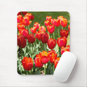 Mousepad Grande campo de tulipas vermelhas