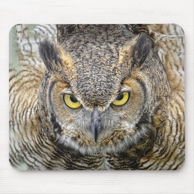 Mousepad Grande coruja Horned depois dos olhos (Frente)