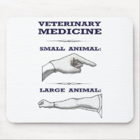 Grande e cómico veterinário animal pequeno