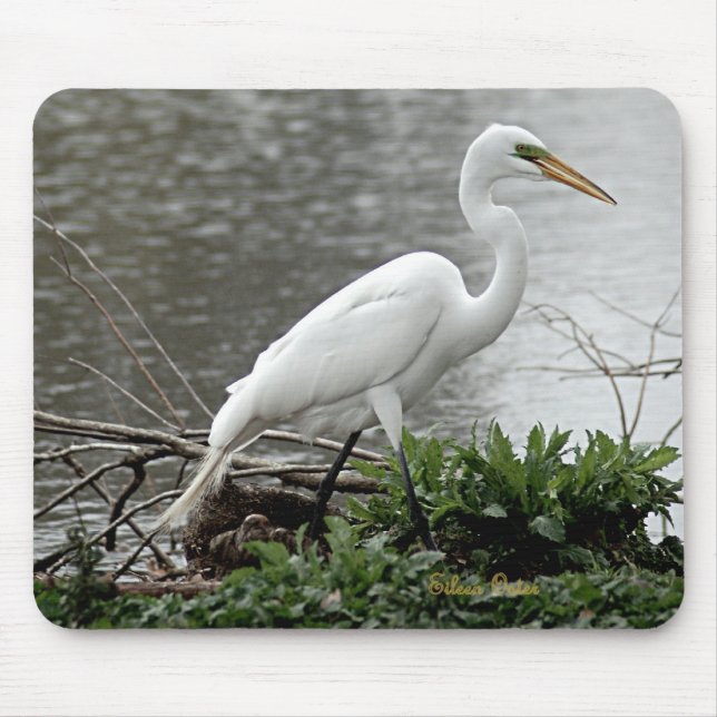 Mousepad Grande Egret (Frente)
