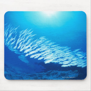 Mousepad Grande grupo de natação do salmonete do atum