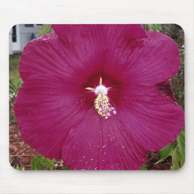 Mousepad grande Hibiscus vermelho-escuro (Frente)