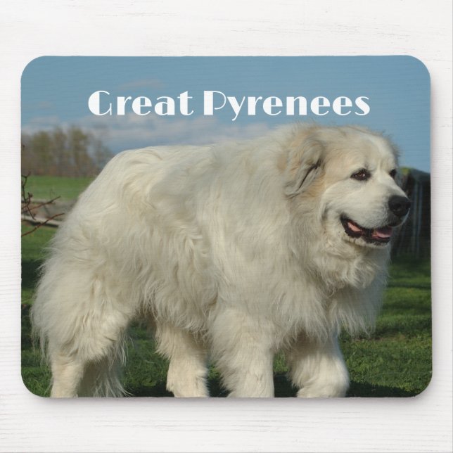 Mousepad Grande Pirineus (Frente)