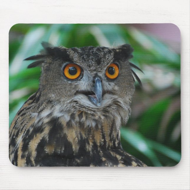 Mousepad Grande tapete do rato da coruja (Frente)