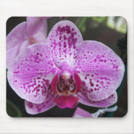 Mousepad Grande tapete do rato roxo da orquídea