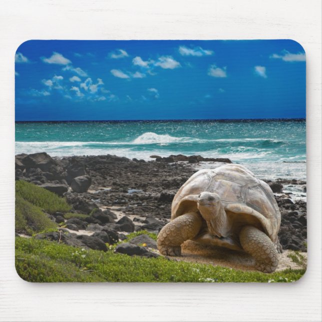 Mousepad Grande tartaruga na borda do mar (Frente)