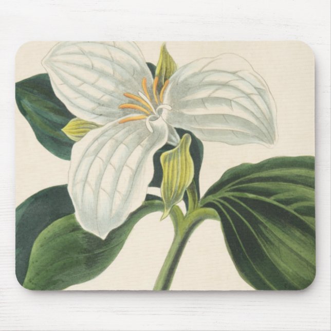 Mousepad Grande Trillium florescido (Frente)