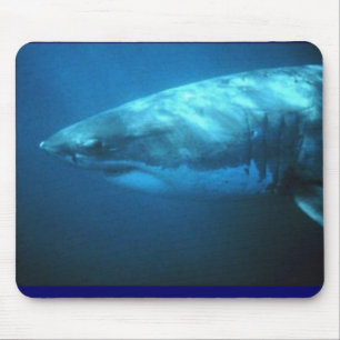 Mousepad Grande tubarão branco