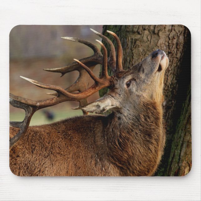 Mousepad Grande Veado (Frente)
