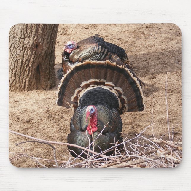 Mousepad Grandes Gobblers! (Frente)