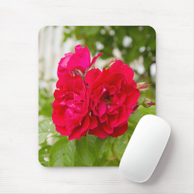 Mousepad Grandes rosas vermelhas no jardim (Com mouse)