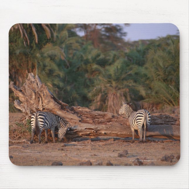 Mousepad Grant Zebra 5 (Frente)