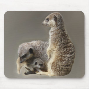 Mousepad Gravatas de família