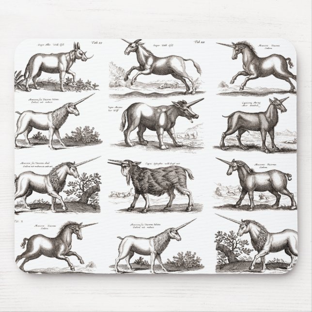 Mousepad Grave de Unicórnio Antigo - Espécime de Zoologia V (Frente)