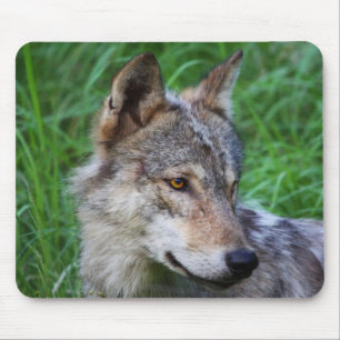 Mousepad Gray Timber Wolf
