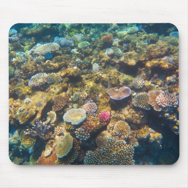 Mousepad Great Barrier Reef Coral - #4 (Frente)