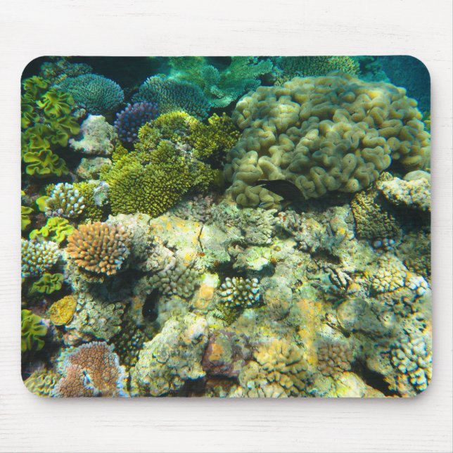 Mousepad Great Barrier Reef Coral - #5 (Frente)