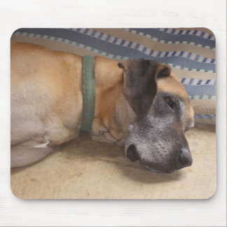Mousepad Great dane doce grande