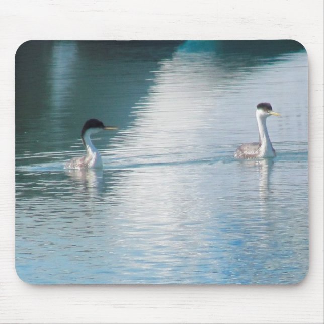 Mousepad - Grebe Ocidental (Frente)