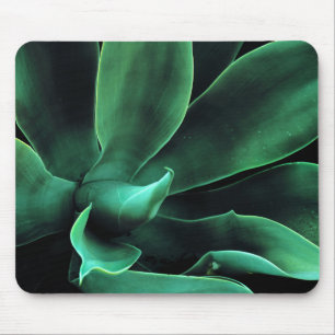Mousepad Green Agave Attenuata