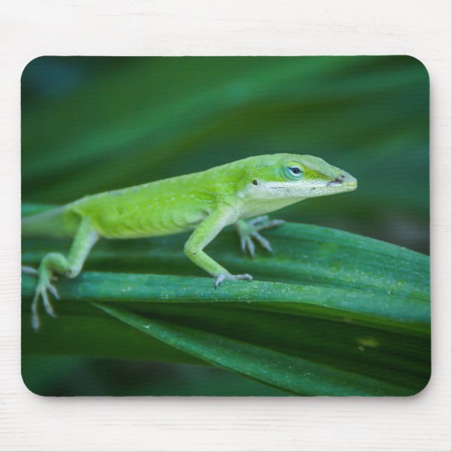 Mousepad Green Anole Lizard (Frente)