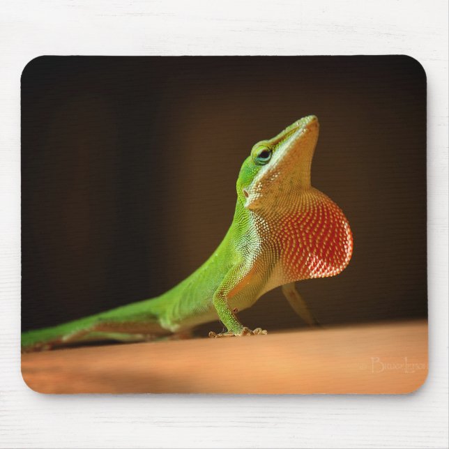 Mousepad Green Anole Lizard com Thraot Vermelho (Frente)