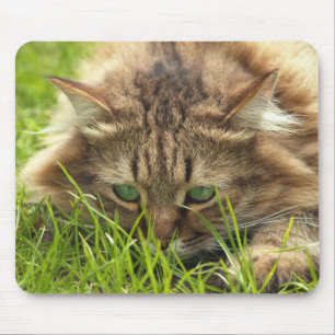 Mousepad Green Eyed Hunter