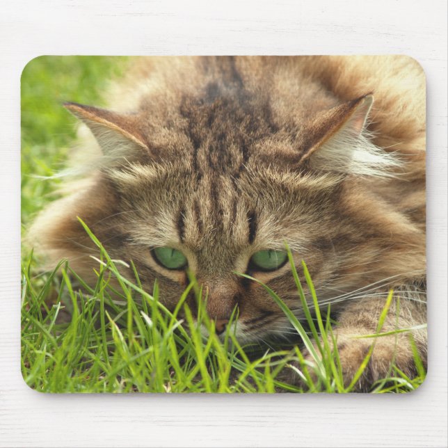 Mousepad Green Eyed Hunter (Frente)
