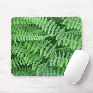 Mousepad Green Ferns Nature