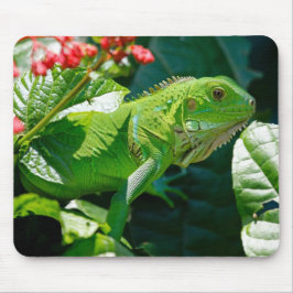 Mousepad Green Iguana Lizard