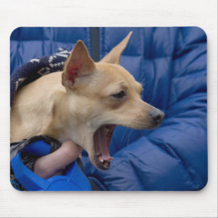 Mousepad Gritando Chihuahua