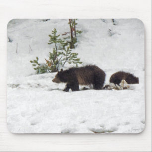 Mousepad Grizzlies na neve