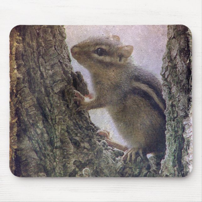 Mousepad Ground Squirrel Grunge (Frente)