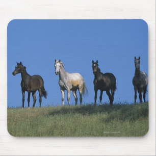 Mousepad Grupo de árabes