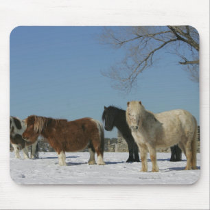 Mousepad Grupo de cavalos diminutos na neve