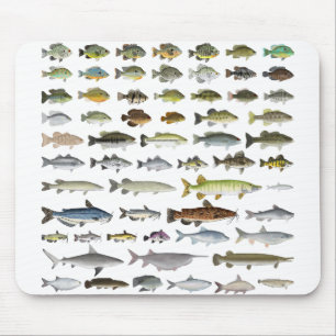 Mousepad Grupo de Peixes Águas frescas da América do Norte