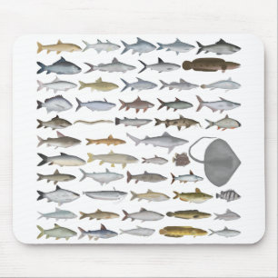 Mousepad Grupo de Peixes de Água Doce da Ásia do Sul